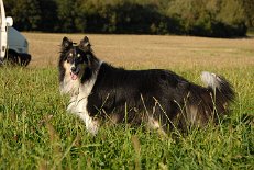 DSC_3330 Dusty
