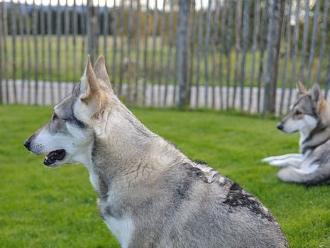 09-10-2011 Babybauch
