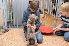 DSC_1475 Kinderbesuch - der Pimpf findet Kinder toll!
