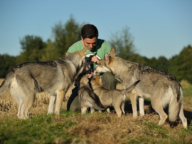 21-08-2012 Letzter Ausflug mit Dastan und Dante - Abschied