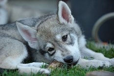 DSC_6926 geniessen