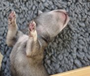 DSC_9580 Das Leben ist schön :)!