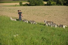 DSC_3525 alle den Männern hinterher