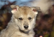 DSC_1988_Tag_35 35. Lebenstag