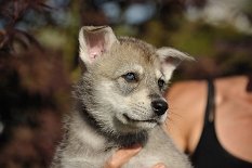 DSC_2644_Tag_42 42. Lebenstag