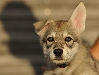 DSC_5244_Tag_52 52. Lebenstag
