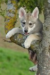 DSC_5433_Tag_53 53. Lebenstag