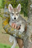 DSC_5430_Tag_53 53. Lebenstag