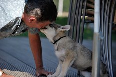 DSC_8280 Enzo gibt seinem Herrchen ein Küßchen