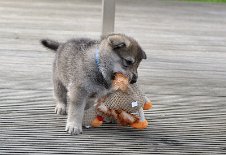 DSC_3407 Erstmal totschütteln kann nicht schaden! (31. Lebenstag)