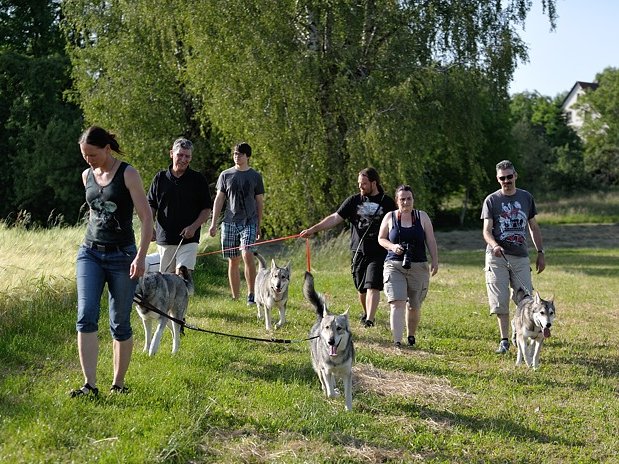 08-06-2014 Papa Django, Skôn und Amak zu Besuch