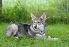 DSC_4647_16_Wochen 16 Wochen alt
