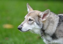 DSC_4669_16_Wochen 16 Wochen alt