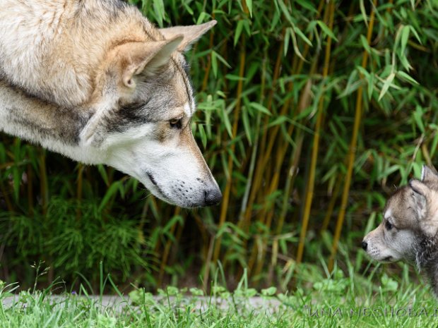 30-05-2019 Erster Ausflug in den Garten