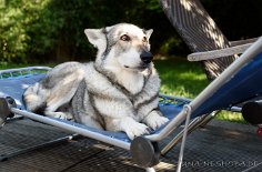 DSC_8596 der Blick :)