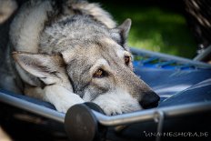 DSC_8598 Meine Timish-Maus ist einfach die Beste *schmacht*!