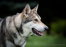 DSC_0956_1_Jahr_4_Monate 1 Jahr 4 Monate alt