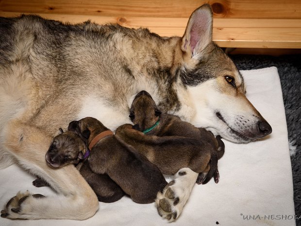 16-04-2021 Geburt und die ersten 3 Lebenstage