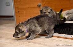 DSC_0782 Das erste Mal außerhalb der Wurfkiste!