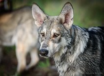 DSC_0378_20_Wochen 5 Monate alt