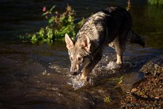 DSC_0660_20_Wochen 5 Monate alt