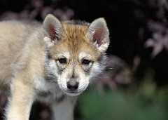 DSC_6783_Tag_48
