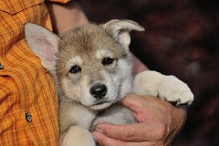 DSC_4788_Tag_42