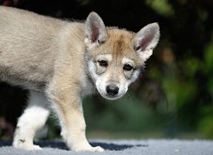DSC_6787_Tag_48