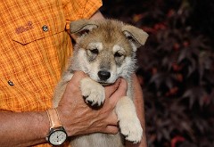 DSC_4763_Tag_42