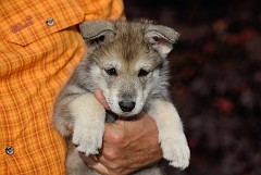 DSC_4781_Tag_42