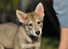 DSC_9194_Tag_59