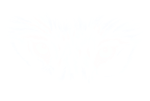 ??? ???
